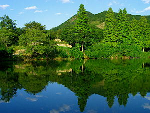 奥須磨公園の池